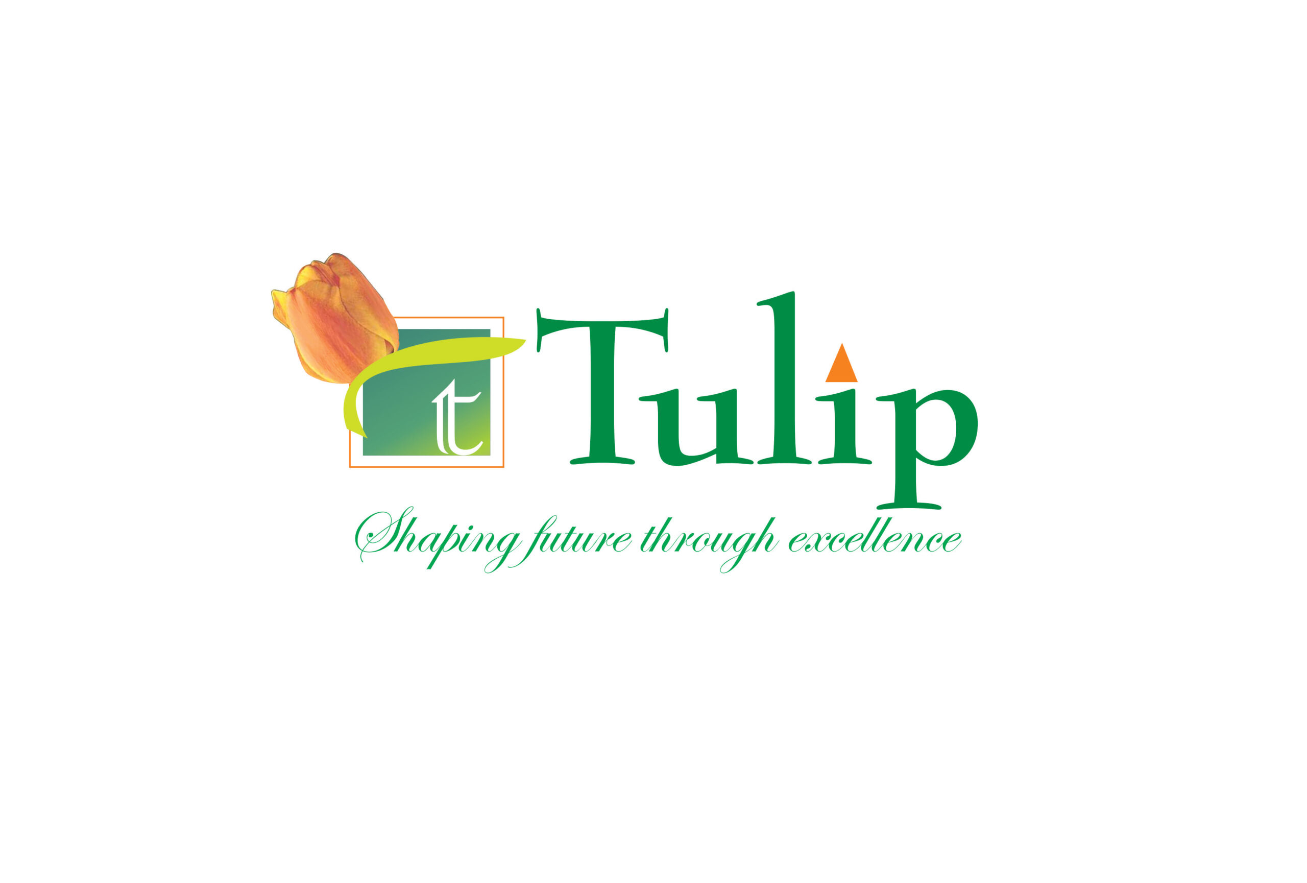 Tulip Infratech Developer